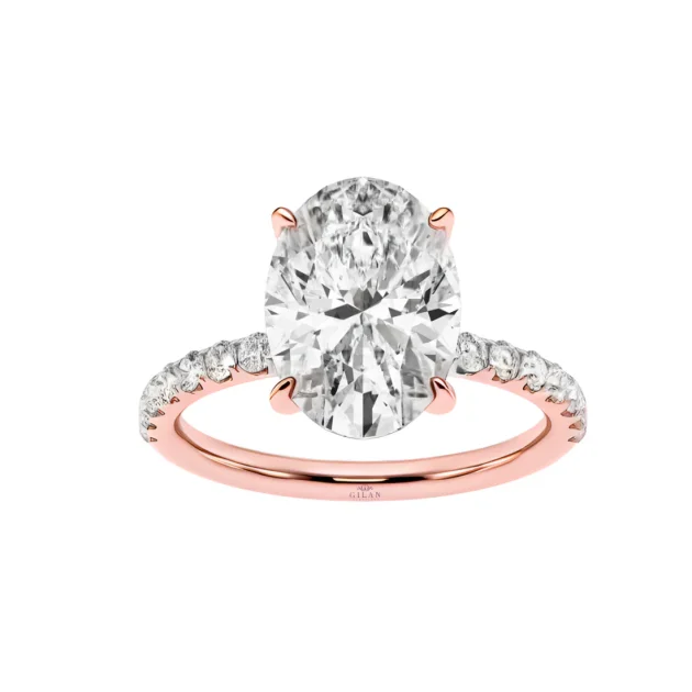 Aliza Hidden Halo Engagement Ring2